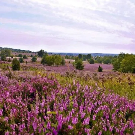 Heideschwedin *
