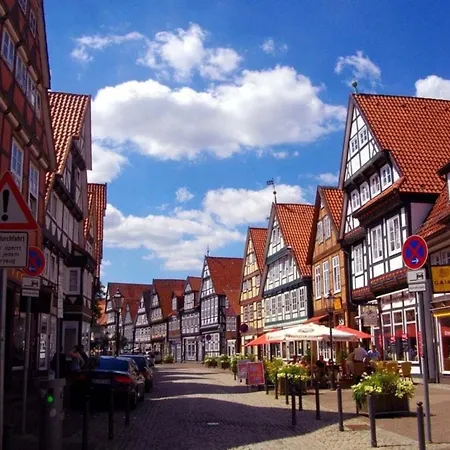 Heideschwedin Eschede
