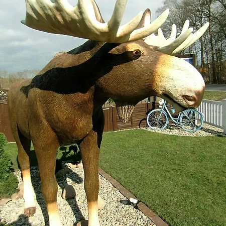 Heideschwedin